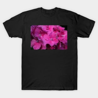 Hydrangea T-Shirt